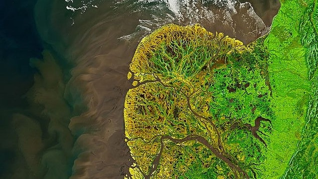 3. Alaska'daki Yukon-Kuskokwim Deltası, 19 Mayıs 2021