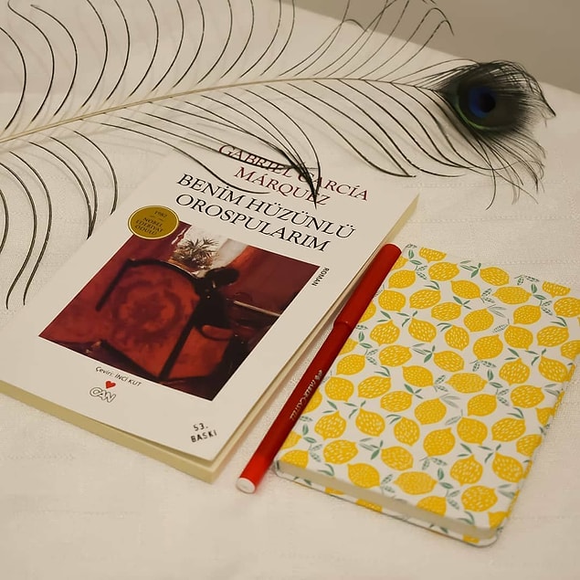 6. Benim Hüzünlü Orospularım - Gabriel Garcia Marquez (96 sayfa)