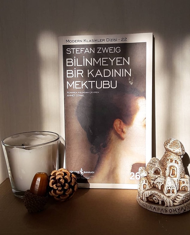 17. Bilinmeyen Bir Kadının Mektubu - Stefan Zweig (68 sayfa)