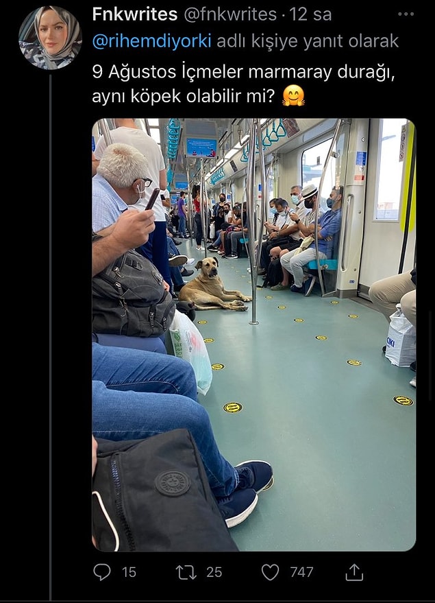 Fakat onun ilk gezisi olmadığı böyle anlaşıldı. Bakın nerelerde geziyor akıllım?
