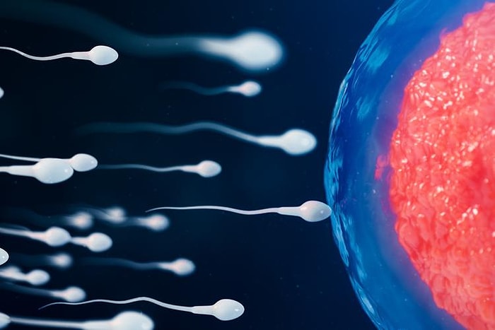 Биологические часы тикают и для мужчин! Исследование показало, что шансы пары на рождение ребенка падают на треть, когда потенциальному отцу за 50