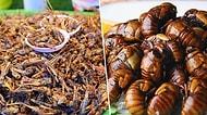 "Bunları Nasıl Yiyorsunuz?" Dedirten, Farklı Kültürlerde Sofralarda Görebileceğiniz Yenebilen Böcek Türleri