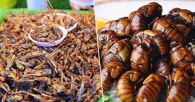 "Bunları Nasıl Yiyorsunuz?" Dedirten, Farklı Kültürlerde Sofralarda Görebileceğiniz Yenebilen Böcek Türleri