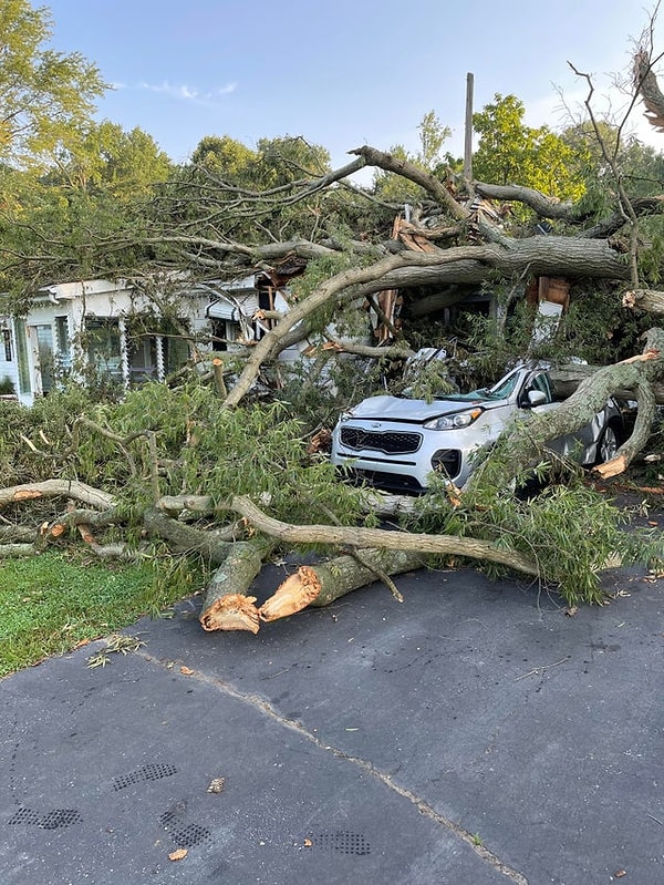 8. "Fırtınada ağaçlar arabama yıkıldı."