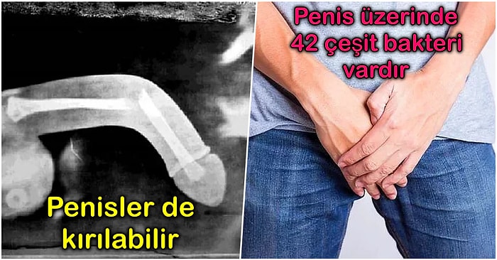 Çoğu Eski Toplumlarda Bereketin Simgesi Sayılan Erkek Cinsel Organı Penis ile İlgili 12 İlginç Bilgi