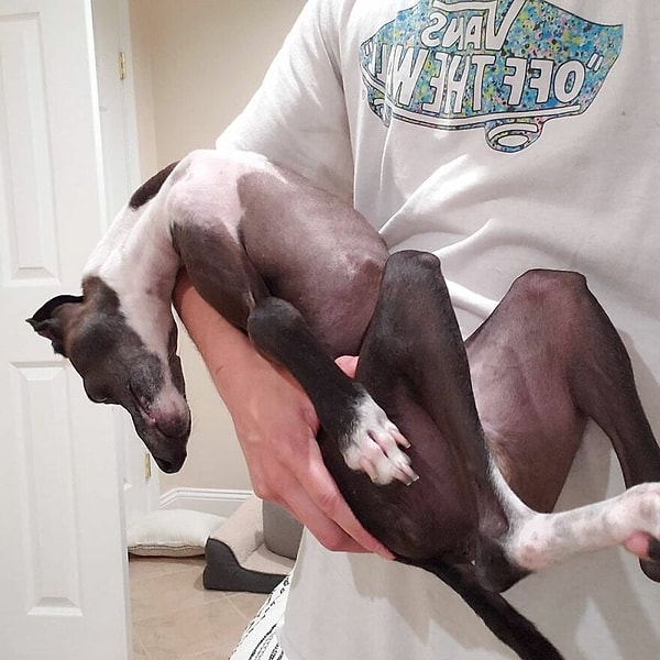 Камера заставляет его таять