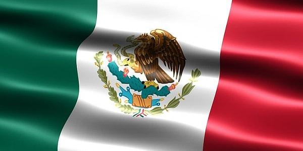 4. Meksika'da konuşulan İspanyolca ve İspanya'da konuşulan İspanyolca arasında farklar vardır.