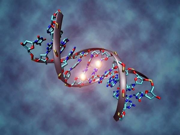DNA TEST SONUÇLARI NE ZAMAN ÇIKAR?
