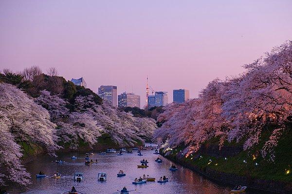 7. Japonya şehirleri bekar hayatına daha uygun.