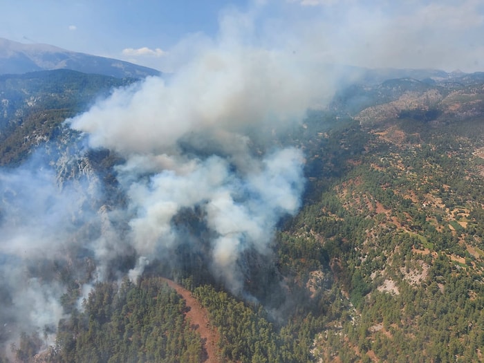 Muğla Köyceğiz'de Yeniden Orman Yangını