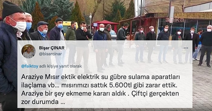 Artan Fiyatlarla Birlikte Sosyal Medyadan Taban Gübre Fiyatına Tepki Gösteren Çiftçi Gündeme Oturdu