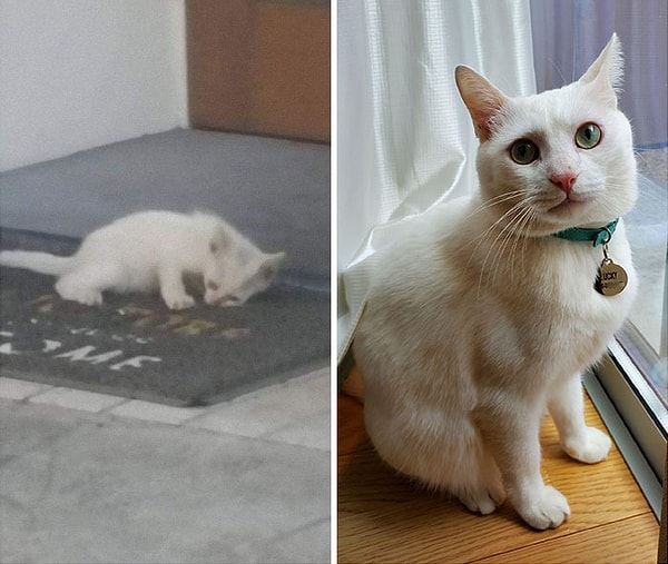 7. Нашли его обезвоженным в разгар летней жары