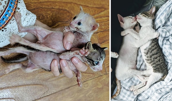 10. Кардинальные изменения за 2 месяца