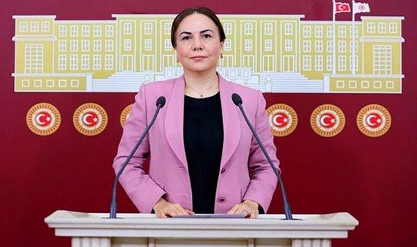 61. 22 Ağustos - AKP Milletvekili Zeynep Gül Yılmaz'ın polise küfür etmesi.