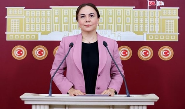 61. 22 Ağustos - AKP Milletvekili Zeynep Gül Yılmaz'ın polise küfür etmesi.