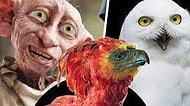 Harry Potter Evrenin Hangi Fantastik Yaratığı Senin Ruh İkizin?