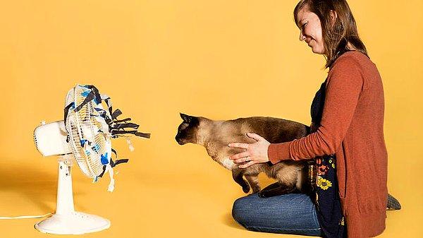 13. Kediler birçok zeka testinde köpeklerle rekabet edebilecek seviyededir ancak bilim insanları kedilerde deney yapacak ve onları inceleyecek sabra sahip değildir.