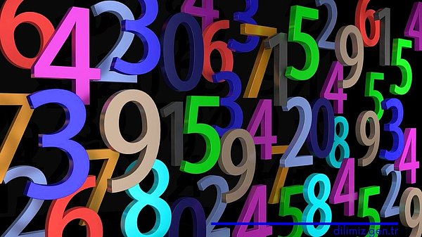 3. Hangisi bir asal sayıdır?