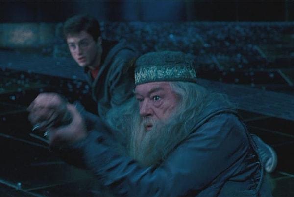 14. Dumbledore'un asasının nelerden yapıldığı bilinmiyor.