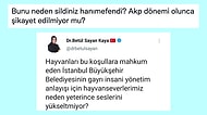 AKP'li Fatma Betül Sayan'ın İBB'yi Hedef Aldığı Paylaşımın AKP Dönemine Ait Olduğu Ortaya Çıktı