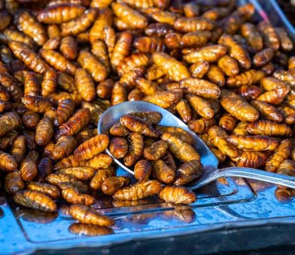 6. Kurutulmuş ipekböceği olarak bilinen pupa, haşlanmış veya buğulanmış olarak satılan geleneksel bir sokak yemeği.