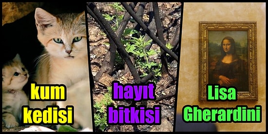 'Fazla Bilgiden Zarar Gelmez' Diyerek Ufkunu Genişletmek İsteyenlere Farklı Kapılar Aralayacak 19 Tweet