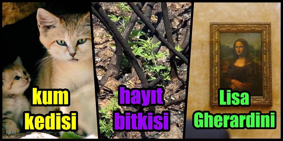 'Fazla Bilgiden Zarar Gelmez' Diyerek Ufkunu Genişletmek İsteyenlere Farklı Kapılar Aralayacak 19 Tweet