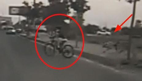 Sokak Köpeklerinden Kaçan Bisikletli Çocuk Aracın Altında Kalarak Hayatını Kaybetti