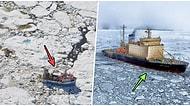 Yapılan Son Araştırmalar Sonucunda Kanada'nın Buzullarında Ham Petrolü Ayrıştırabilen Bakteriler Bulundu