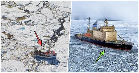 Yapılan Son Araştırmalar Sonucunda Kanada'nın Buzullarında Ham Petrolü Ayrıştırabilen Bakteriler Bulundu