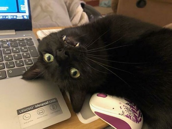 14. Требует внимания