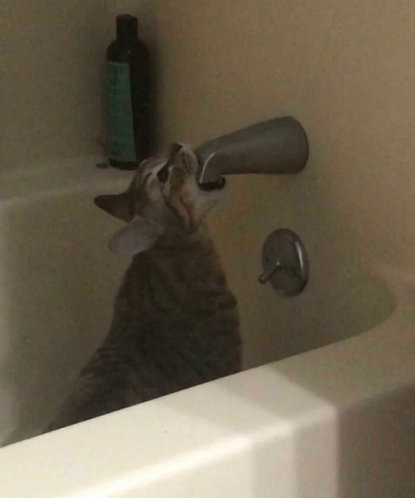 15. Что хдесь происходит?