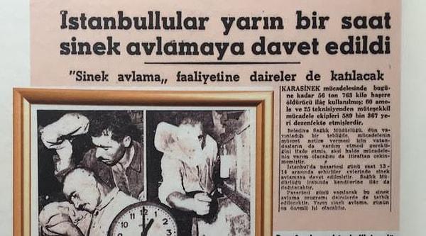 İstanbul tarihinin en garip olaylarından biri 1959 yılında gerçekleşti. 17 Ağustos günü saat 13.00'da devletin duyurusuyla, halk raketlerle birlikte sinek avına çıktı. Üstelik bu duruma mecburi tutuldular ve katılmayanlara para cezası uygulandı.