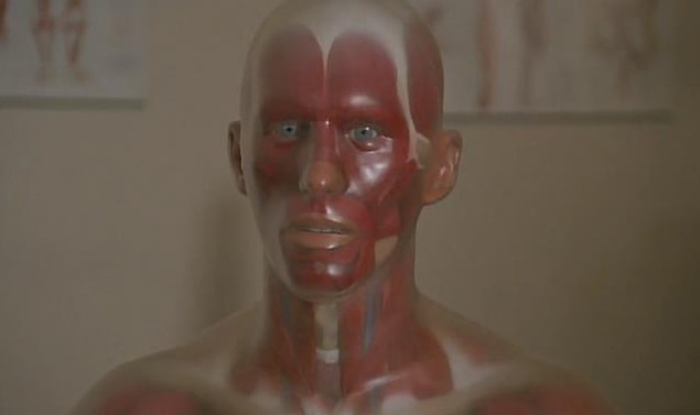 12. Pin (1988)