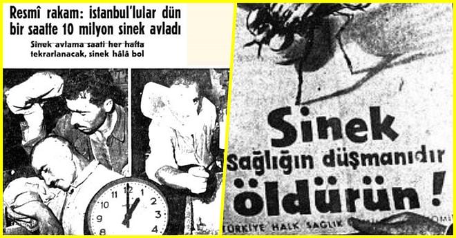 Tarihimiz İlginç Vakalarla Dolu! 1959 İstanbul'da Yaşanan Sinek Avı Seferberliği