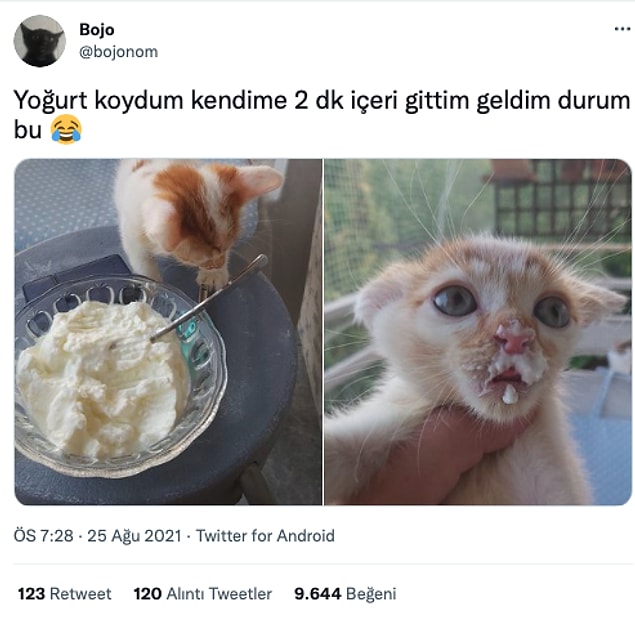 8. İki dakika yalnız bırakmaya gelmiyor bunları da...