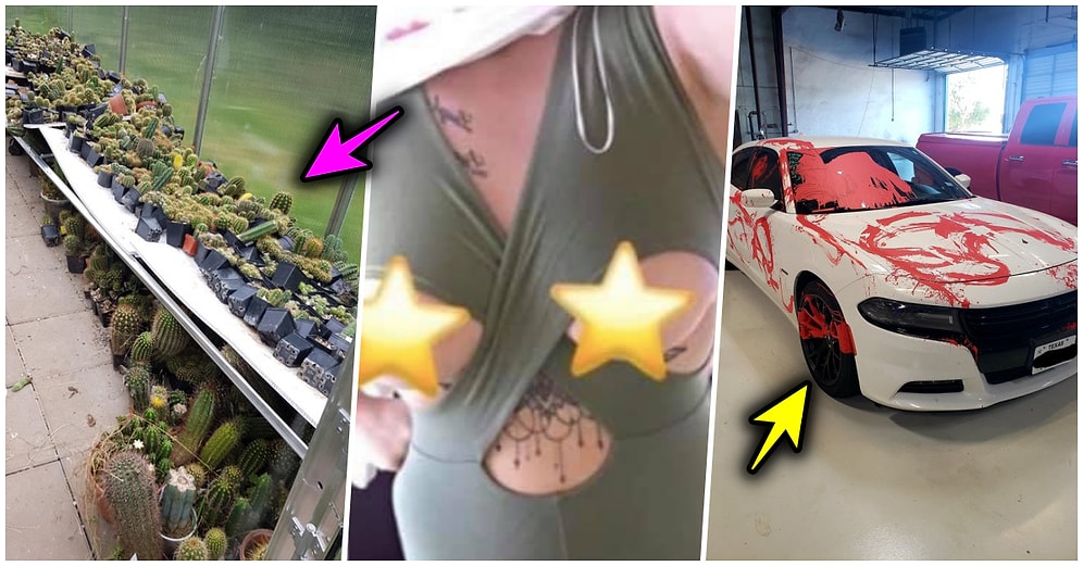 Çöle Düşse Kutup Ayılarıyla Karşılaşıp Birtakım Tatsız Olaylar Yaşayabilecek 15 Bahtsız Kişi