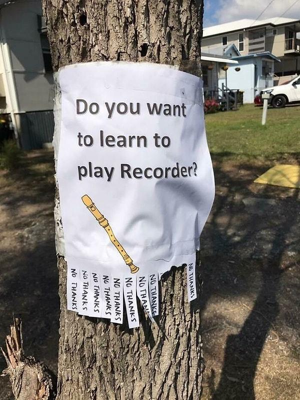 9. "Flüt çalmayı öğrenmek ister misin?"