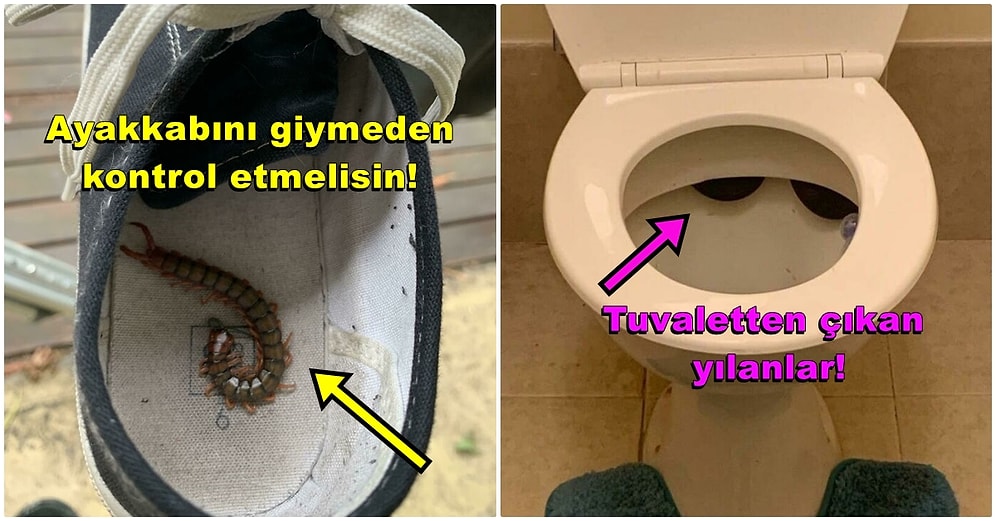 Balta Girmemiş Ormanlardan Bir Farkı Olmayan, Bir Gariplikler Ülkesi Avustralya'dan 30 İlginç Fotoğraf