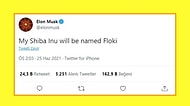Elon Musk'ın Bir Tweetiyle Dünyanın En Bilinir Coin'leri Arasına Giren Floki'nin Hikayesini Anlatıyoruz