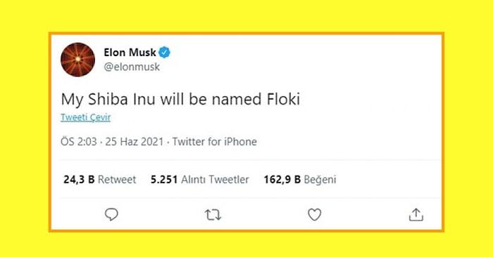 Elon Musk'ın Bir Tweetiyle Dünyanın En Bilinir Coin'leri Arasına Giren Floki'nin Hikayesini Anlatıyoruz