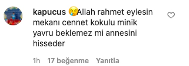 👇