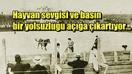 Tam 110 Yıl Önce İstanbul'da İspanyol Tarzı Boğa Güreşleri Yapıldığını Biliyor muydunuz?