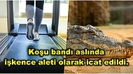 Bir Kez Öğrendiğinizde Aklınızdan Asla Silemeyeceğiniz 15 Enteresan Bilgi