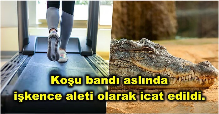 Bir Kez Öğrendiğinizde Aklınızdan Asla Silemeyeceğiniz 15 Enteresan Bilgi