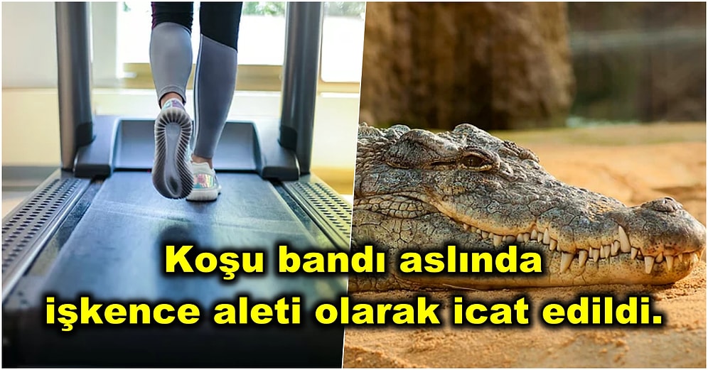 Bir Kez Öğrendiğinizde Aklınızdan Asla Silemeyeceğiniz 15 Enteresan Bilgi