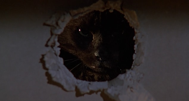 9. Due occhi diabolici (1990)