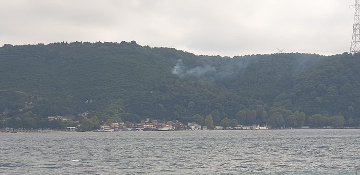 İstanbul Beykoz'da Orman Yangını Çıktı