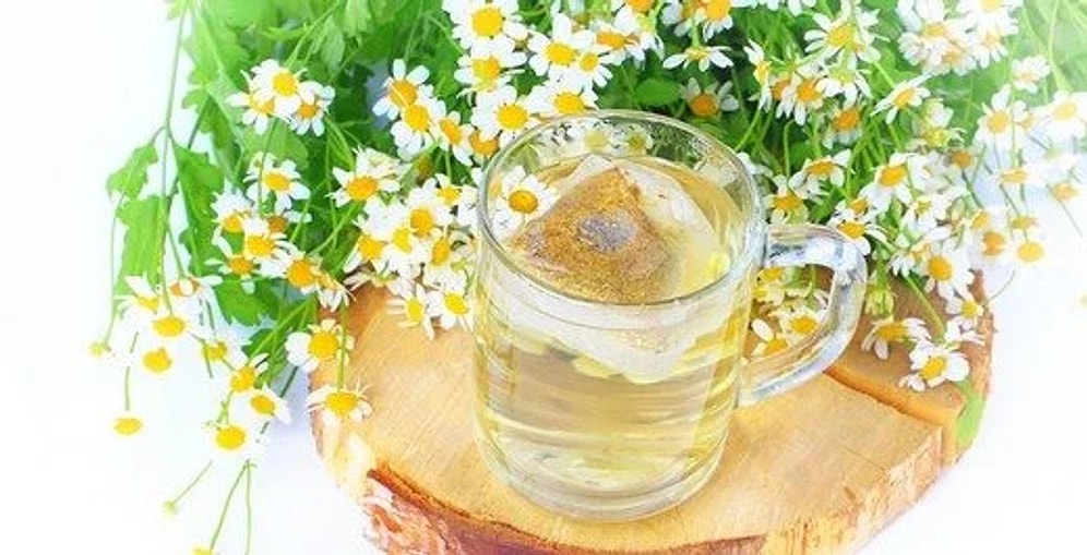 Papatya Çayının Faydaları Nelerdir? Papatya Çayının Besin Değerleri Nedir?