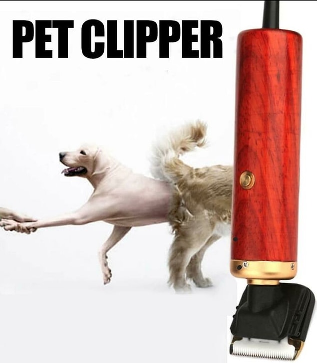 7. Bu köpek tüy makası ile köpeğinizin tüm kürkünü alın!